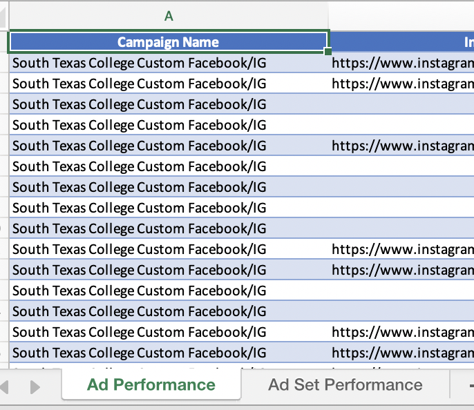 ST Y2 Custom Facebook-IG Detail report March 2020